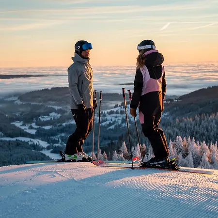 Haus Wintersonne * Feldberg (Baden-Wurttemberg)