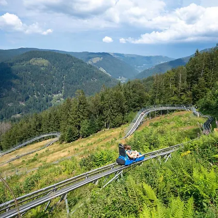 Апартаменты Haus Wintersonne *