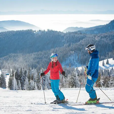 Haus Wintersonne Фельдберг