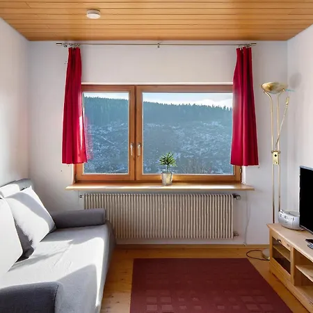 Апартаменты Haus Wintersonne Фельдберг