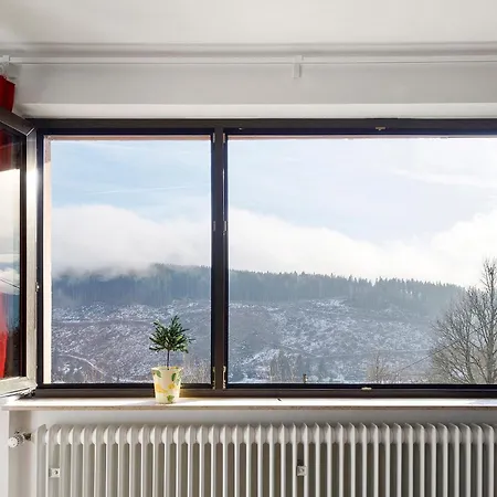 Haus Wintersonne * Feldberg (Baden-Wurttemberg)